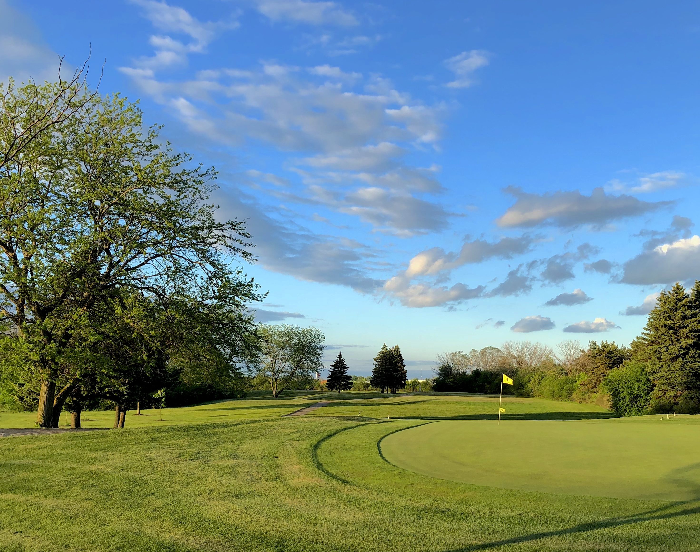 My Homepage Ives Grove Golf Links