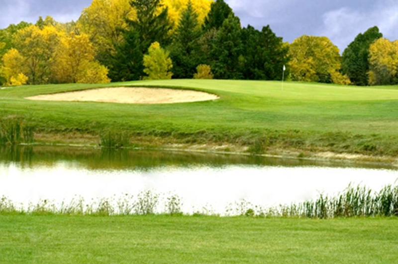 My Homepage Ives Grove Golf Links